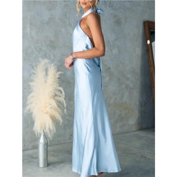 Backless Halter Neck Maxi Dress - Picture 5 of 15